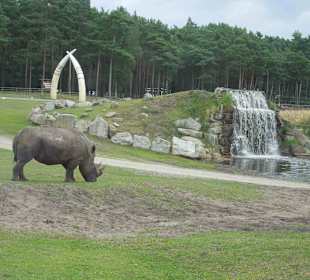 Serengeti Park Hodenhagen