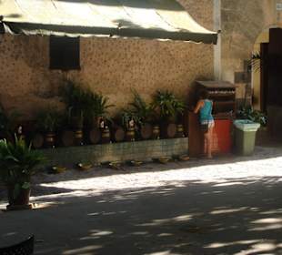 La Granja - Weinprobe