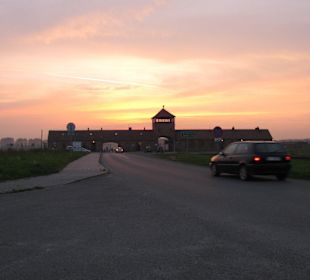 Birkenau