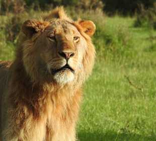 Was ist da drüben los?