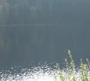 Windgfällweiher