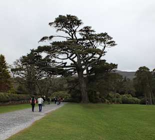 Muckross House, Park, Killarney Nationalpark