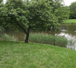 Wasserschloss Oppenweiler