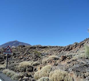 Teide 