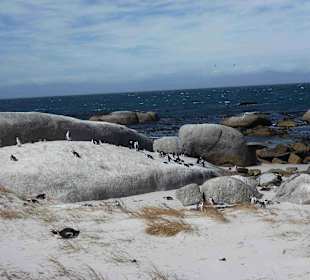 Boulders Beach
