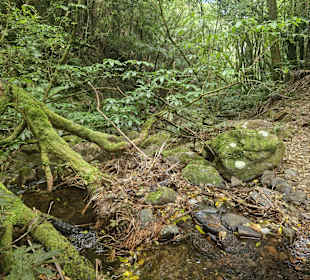 Low-Level Loop Waiorongomai Valley