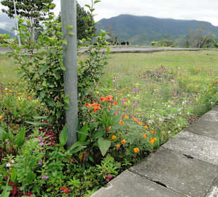 Wildlife Expeditions