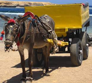 Ich habe Nitrox for free!