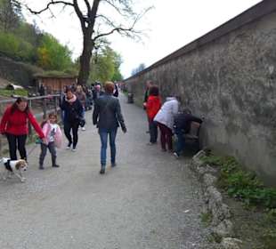 Eurasienbereich - Steinbockeingang