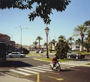 Palma de Mallorca/ Stadtgebiet/ Hafen