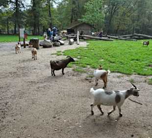 Rundgang durch den Wildpark Schwarze Berge