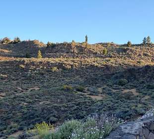 Teneriffa Tour Teide-Nationalpark