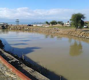 Der ganze Fluß zur Brücke entsäubert