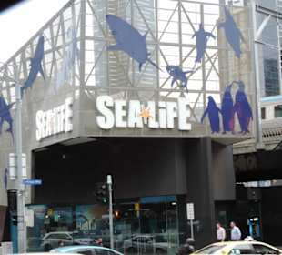 Mit  der City CircleTram in Melbourne unterwegs