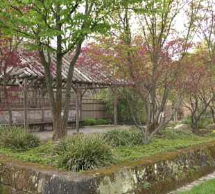 Japangarten Stuttgart