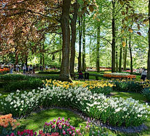 Keukenhof