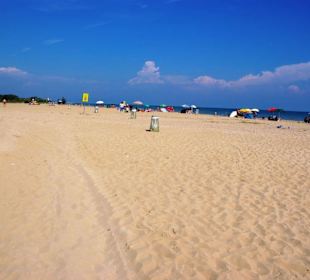 Freier Hundestrandbereich viel Platz