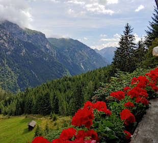 Restaurant Allrissalm