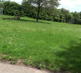 Spielplatz & Grillplatz Mandelberg