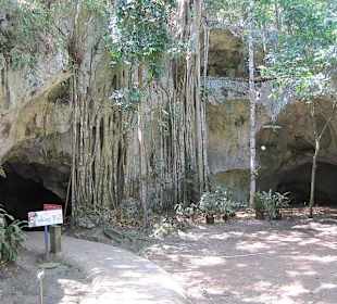 Green Grotto Caves