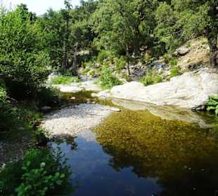 Impressionen von einer Wanderung an der Massane