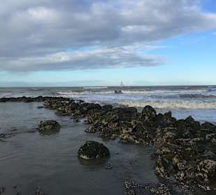 Strand Oostduinkerke