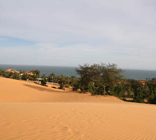 Die Dünen hinter dem Hotel, so toll