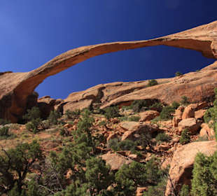 Landscape Arch