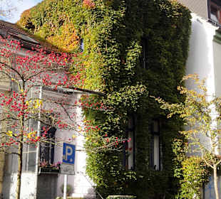 Herbstspaziergang durch das Ostertor-Viertel