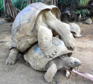 La Vanille Nature Parc