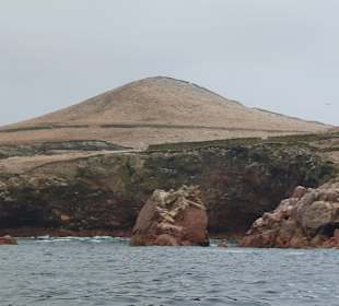 Ausflug Ballestas Inseln