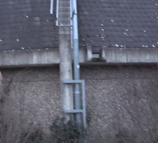 Richard Hirschmann Rundsporthalle