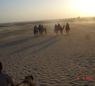 Dromedar-Ritt in der Sahara