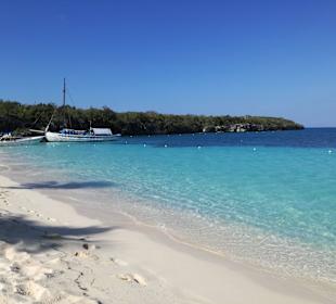 Andy Ausflug Catalina