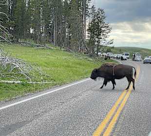 Yellowstone Nationalpark