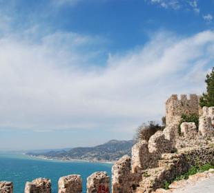 Burg (Fischstäbchen)