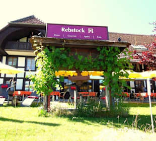 Rebstock
