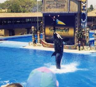 San Diego - Sea World
