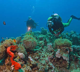 Tauchen mit SUBEX Hurghada Rotes Meer Ägypten