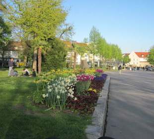 Promenade Friedrichshafen