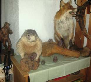 Almgasthaus Boscheben