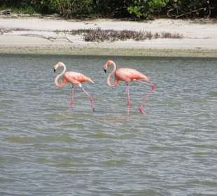 Fußmarsch von ca.1,5 km