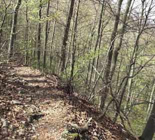 Wanderweg Hochgehkämpft