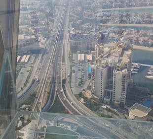 The view at the palm