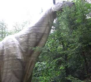 Dinosaurier Museum Altmühltal