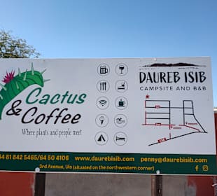 Cactus and Coffee Teagarden