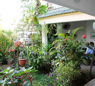 Cafe Müller
