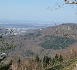 Wanderungen in Baden-Baden und Umgebung