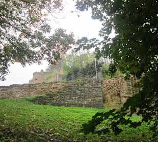 Ruine Wachtenburg