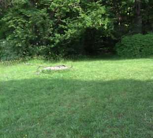 Premiumwanderweg "hochgelegen"